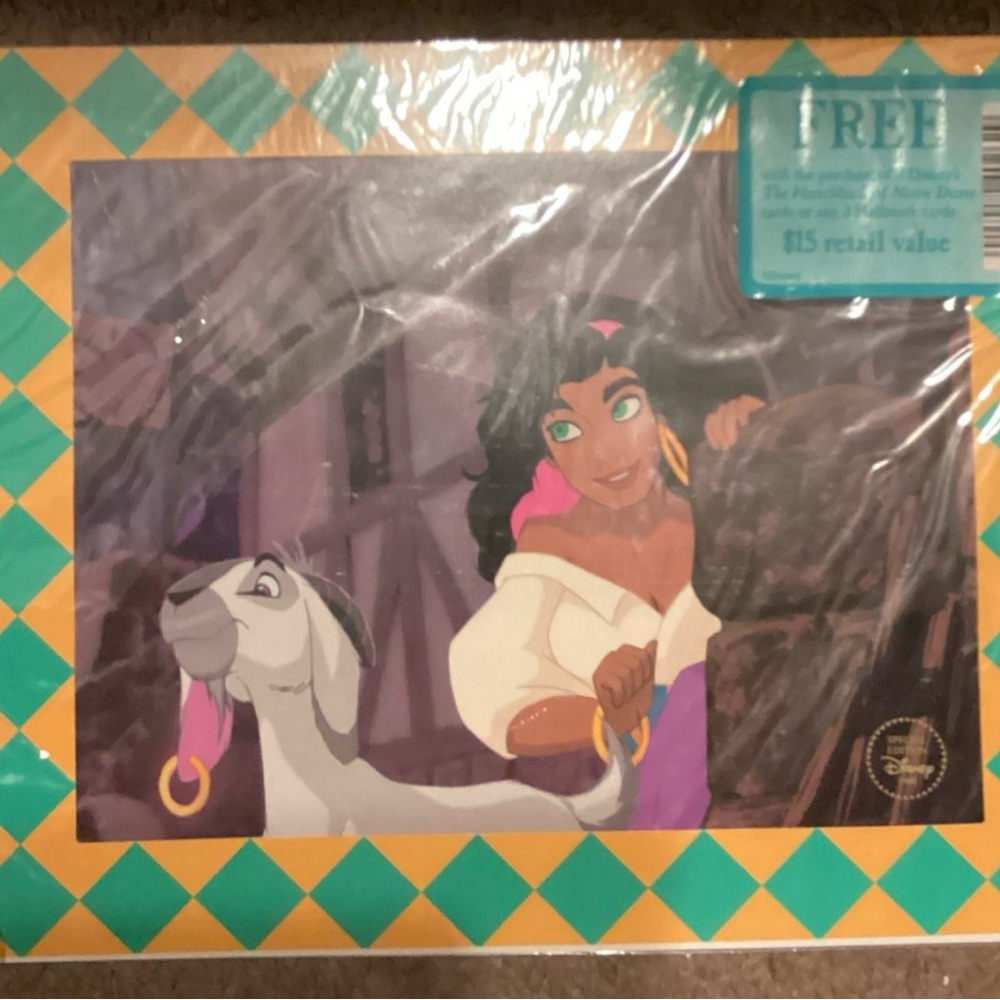 Disney The Hunchback of Notre Dame in Orange and Teal Print